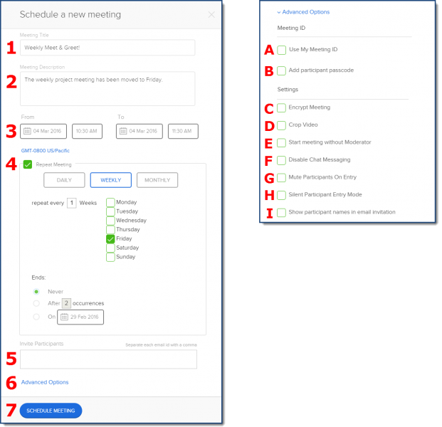 How to Use BlueJeans for Video Conferencing